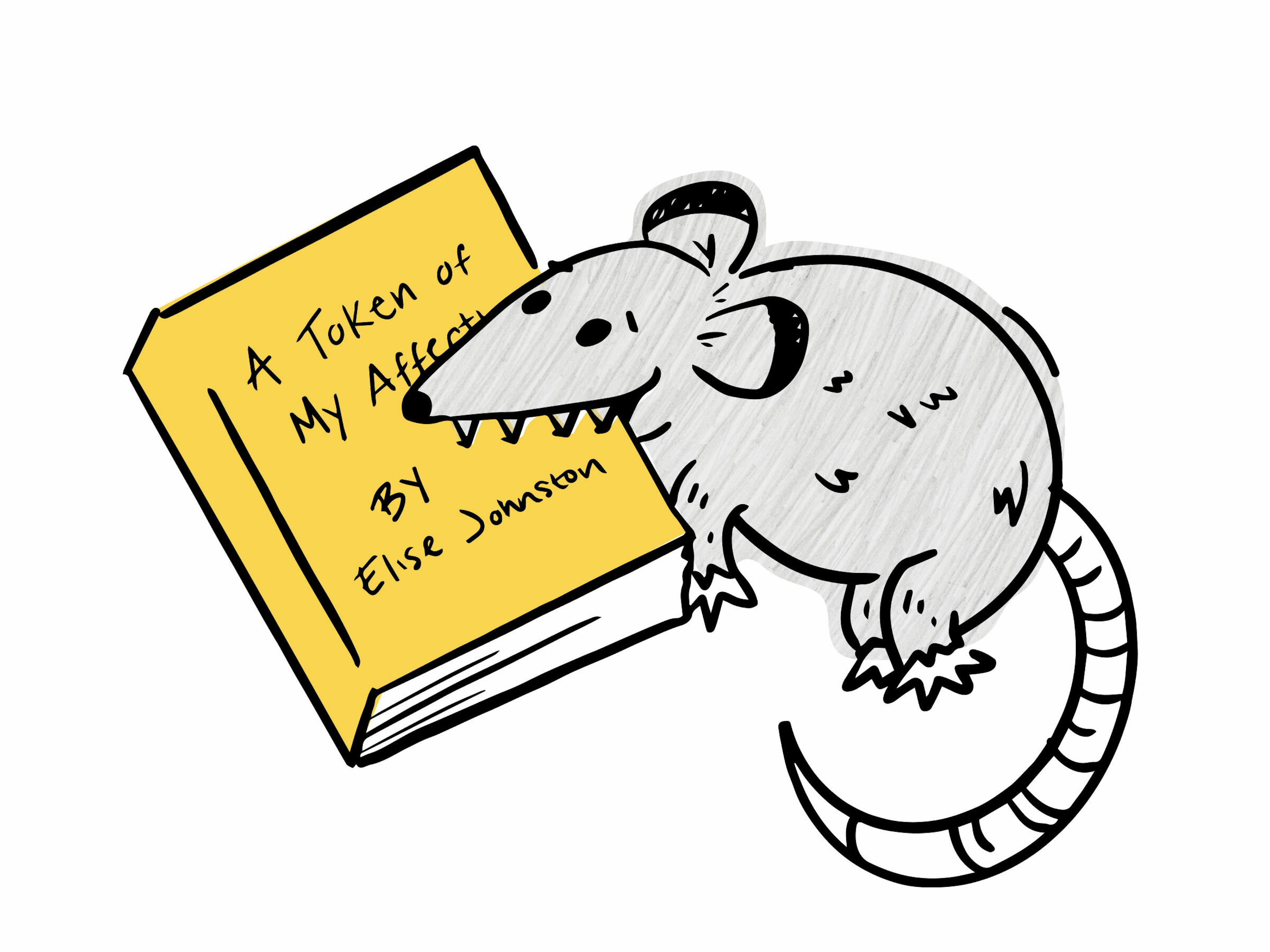 Team Highlights Elise short story