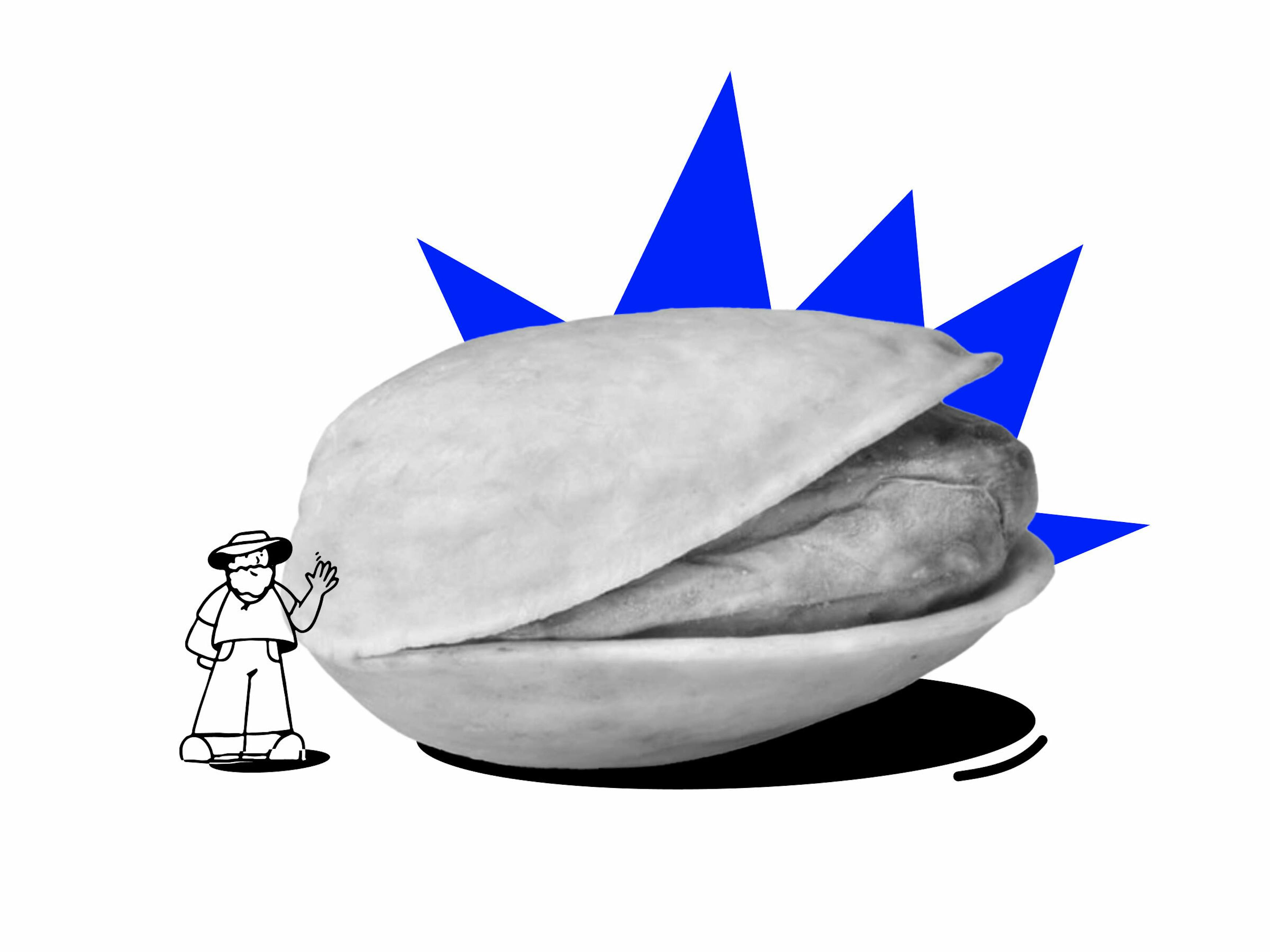 Team Highlights Nick Pistachio