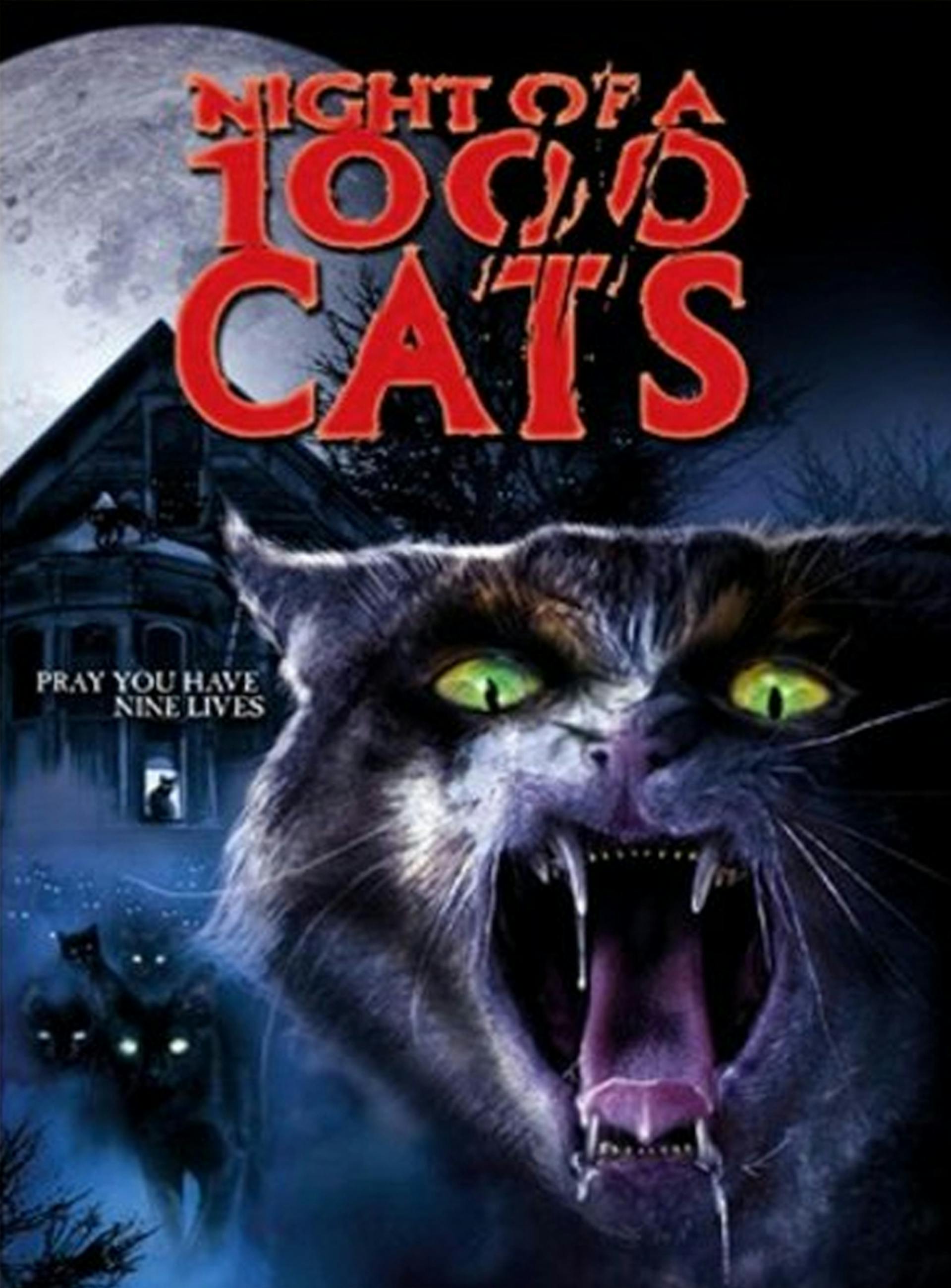 Night of 1000 cats